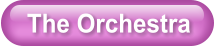 The Orchestra