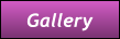 Gallery Gallery